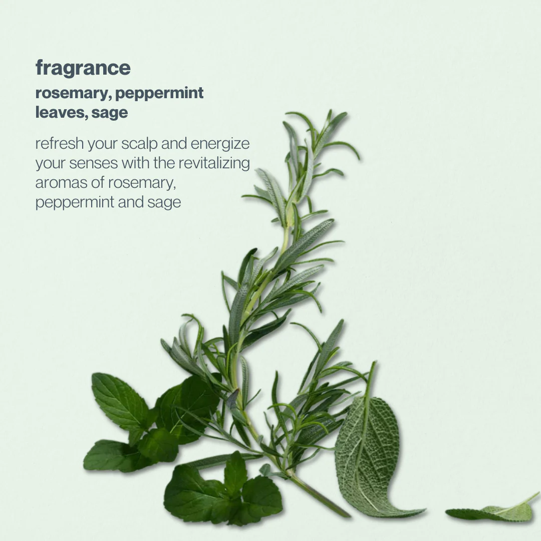 energizing blend conditioner - Image 4